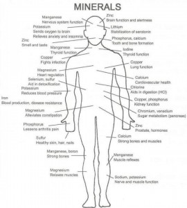 minerals-help-body